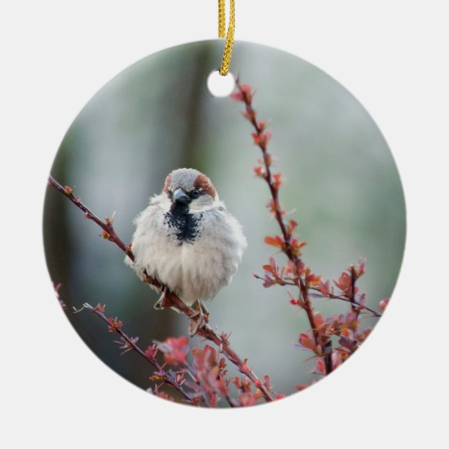 Fluffy Grump Ceramic Ornament (Front)