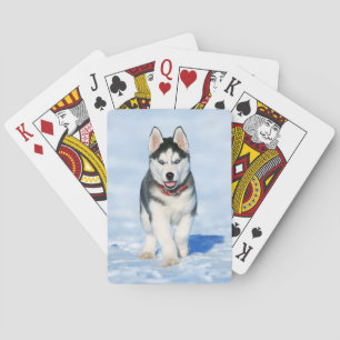 Fluffy Husky Puppy running in the snow Playing Cards