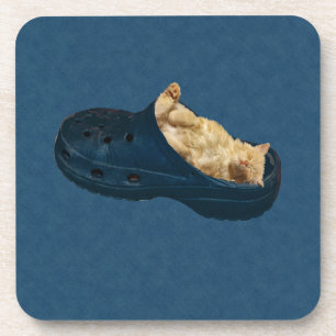 Fluffy Kitten Sleeping In Croc Shoe, Coasters
