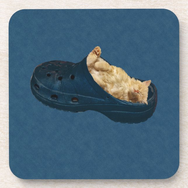 Fluffy Kitten Sleeping In Croc Shoe, Coasters (Front)