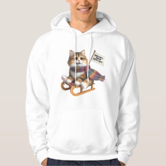 ​Fluffy Kitten Snow Day on Sled, Cute Cat in Scarf Hoodie