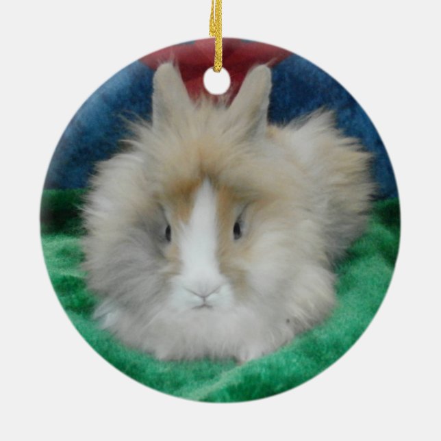 Fluffy Lionhead Bunny Rabbit Ceramic Ornament (Back)