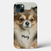 Fluffy Long Haired Chihuahua Puppy Dog