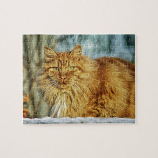Fluffy Long-Haired Orange Manly Cat Jigsaw Puzzle