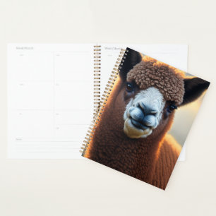 "Fluffy Majesty : le grand alpaga Brown Wooly"