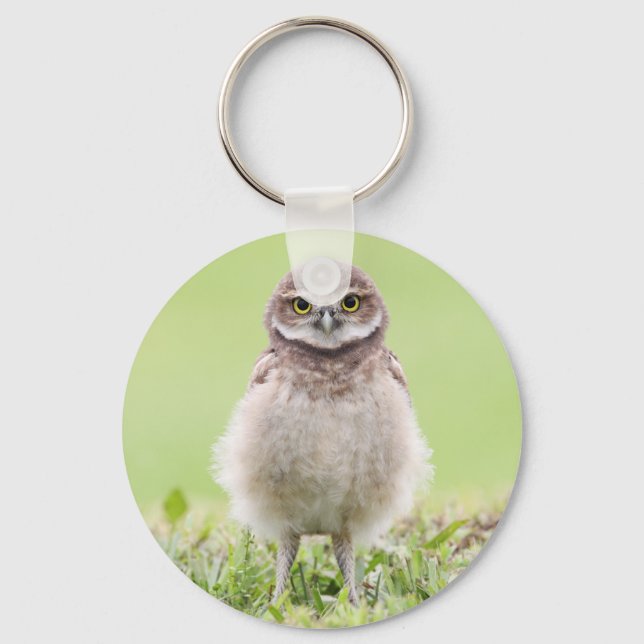 Fluffy Owlet Keychain (Front)