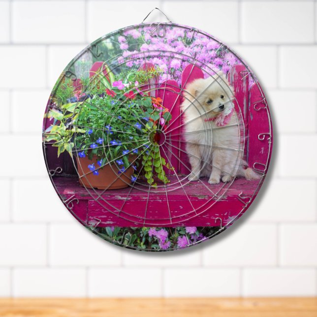 Fluffy Pomeranian Puppy on Rustic Garden Bench Dartboard (Please see collection for matching items)