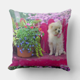 Fluffy Pomeranian Puppy Rustic Garden Floral Throw Pillow
