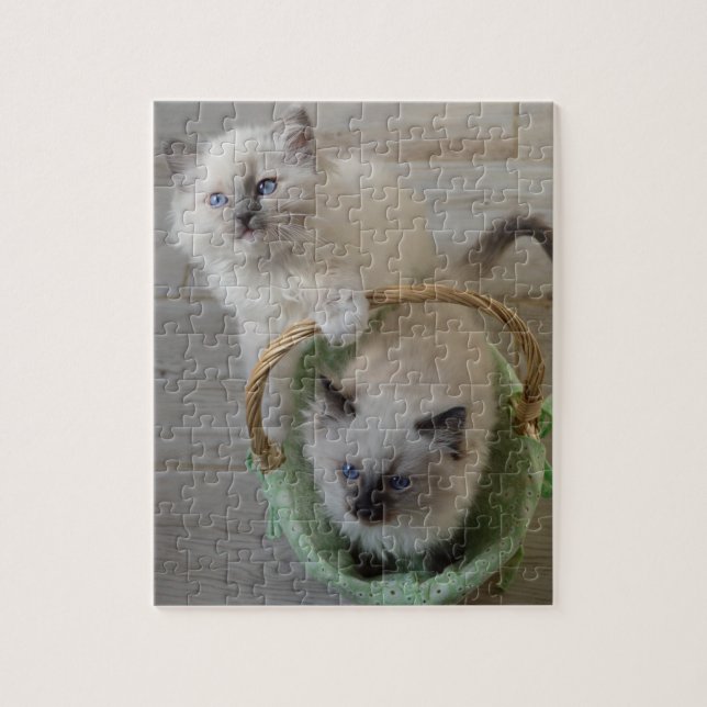 Fluffy Ragdoll Blue Eyed Kittens Jigsaw Puzzle (Vertical)