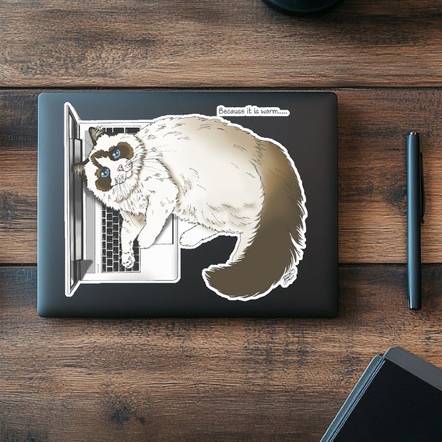 Fluffy Ragdoll Cat Lavender Laptop Funny (Creator Uploaded)