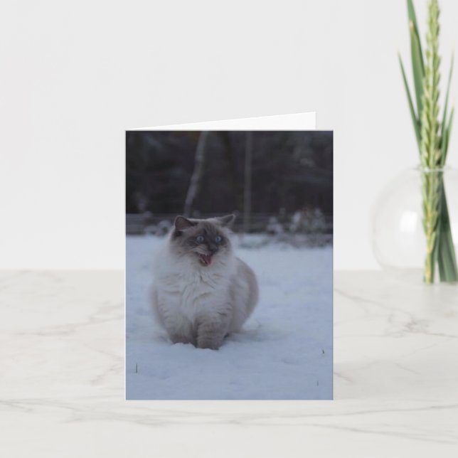 Fluffy Ragdoll Chat dans la carte de voeux de neig (Devant)