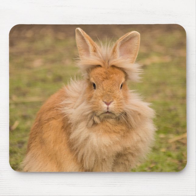 Fluffy Red Lionhead Bunny Rabbit Mouse Pad (Front)