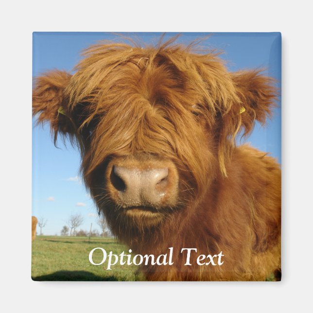 Fluffy Scottish Highland Cow - Blue Sky Magnet (Front)
