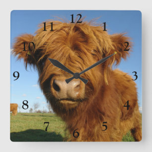 Fluffy Scottish Highland Cow - Blue Sky Square Wall Clock