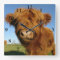 Fluffy Scottish Highland Cow - Blue Sky