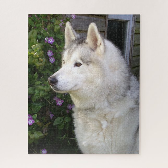 Fluffy Siberian Husky Puppy Dog Jigsaw Puzzle (Vertical)