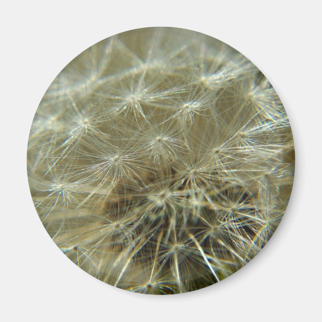 Fluffy Sphere - Magnet (Front)