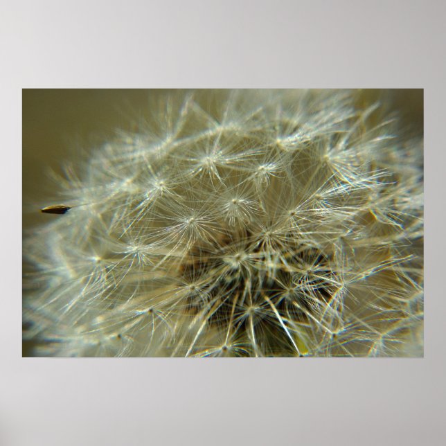 Fluffy Sphere - Poster (Front)