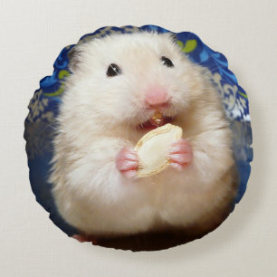 Fluffy syrian hamster Kokolinka eating a seed Round Pillow