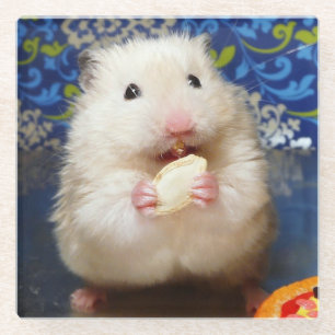 Fluffy Syrian Hamster Kokolinka Glass Coaster