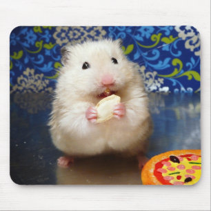 Fluffy Syrian Hamster Kokolinka Mouse Pad