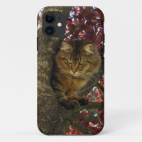 Fluffy Tabby Cat Pet-lovers iPhone 5 Case