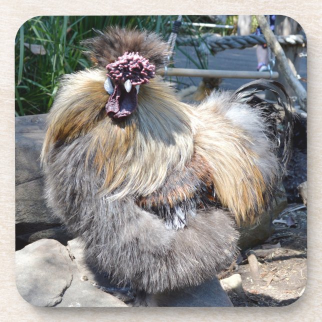 Fluffy Ugly Chicken, Coasters (Front)