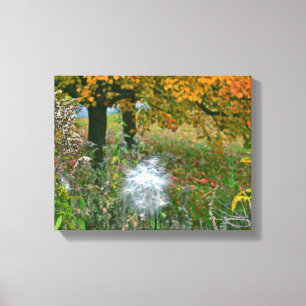 "FLUFFY WHITE 'BLOW AND MAKE A WISH' MILKPOD" CANVAS PRINT