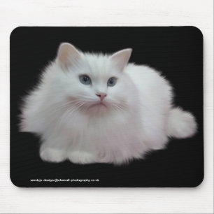 Fluffy White Cat Mouse Pad