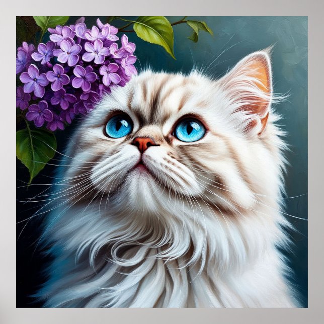 Fluffy White Cat With Blue Eyes Poster (Front)