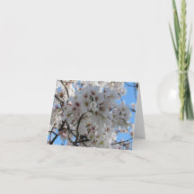 Fluffy White Cherry Blossom Greeting Card 