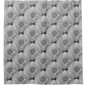 Fluffy White Dandelion Flowers Nature Pattern 