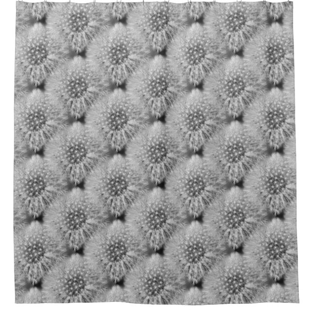 Fluffy White Dandelion Flowers Nature Pattern  (Front)