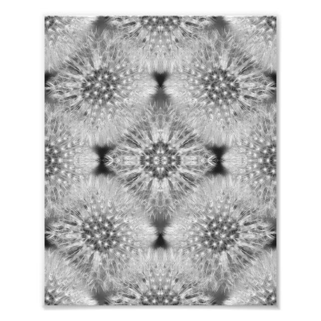 Fluffy White Dandelions Abstract Nature 8x10 Photo Print (Front)