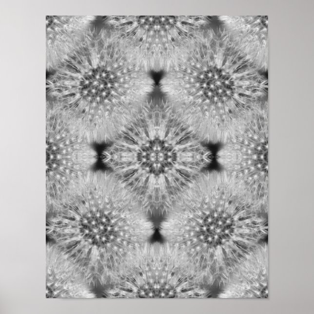 Fluffy White Dandelions Abstract Nature  Poster (Front)