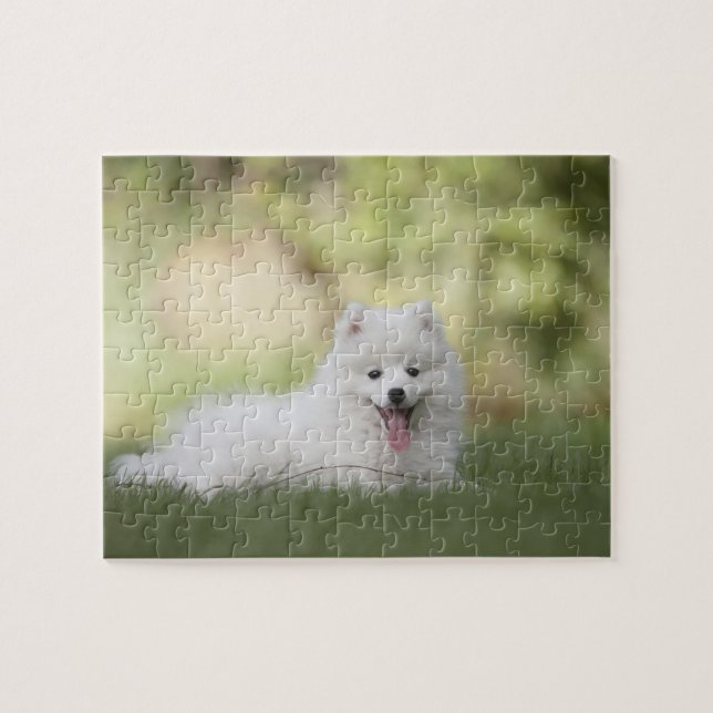 Fluffy White Keeshond Puppy Jigsaw Puzzle (Horizontal)