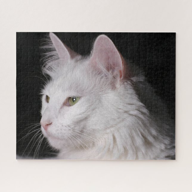 Fluffy White Maine Coon Cat Jigsaw Puzzle (Horizontal)
