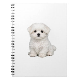 Fluffy White Maltese Puppy Portrait Cute Dog Lover Notebook
