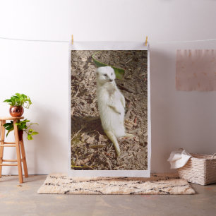 Fluffy White Meerkat, Combed Cotton Material. Fabric