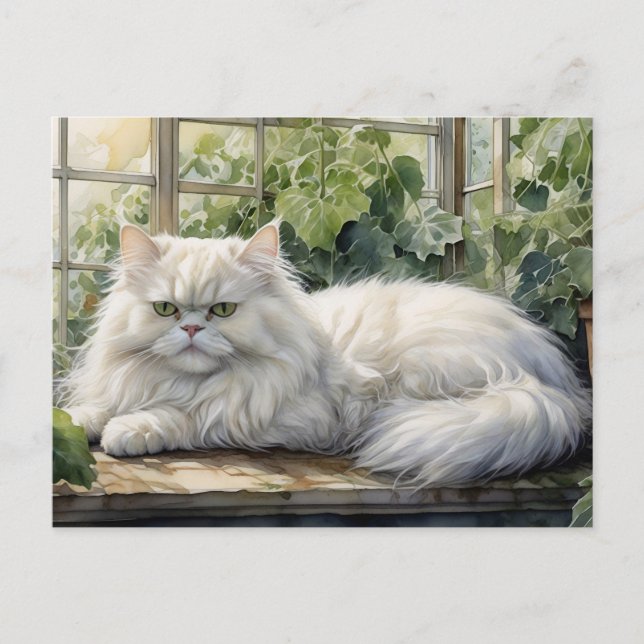 Fluffy White Persian Cat in a Garden Postcard (Front)