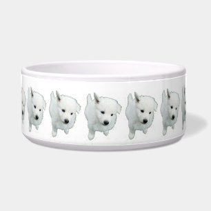 Fluffy White Puppy Photograph