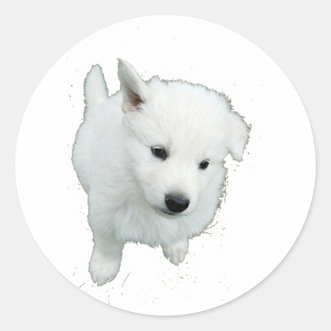 Fluffy White Puppy Photograph Classic Round Sticker (Front)