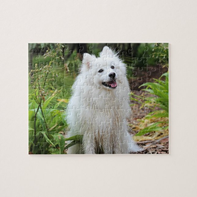 Fluffy White Spitz Puppy Dog Jigsaw Puzzle (Horizontal)