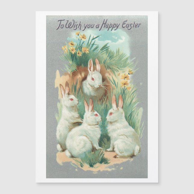 Fluffy White Vintage Easter Bunnies (Front)