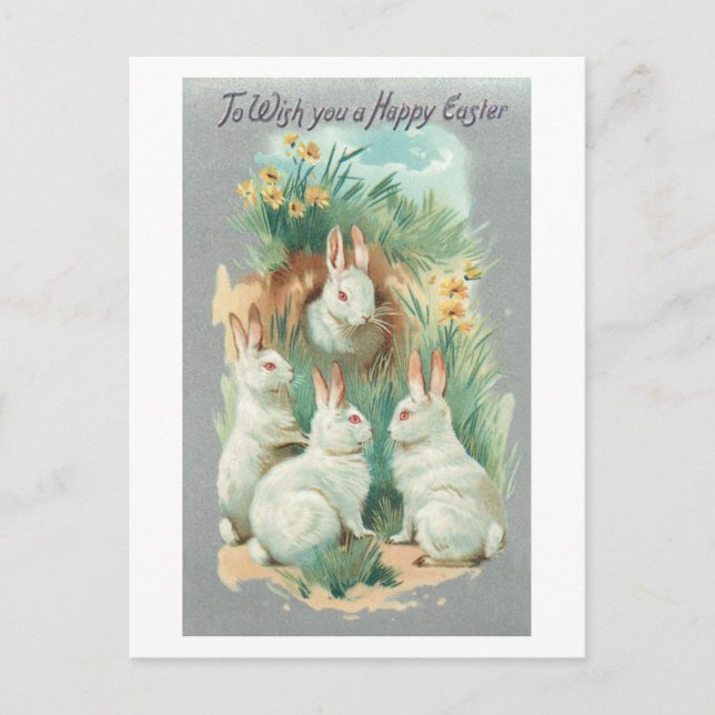 Fluffy White Vintage Easter Bunnies Holiday Postcard (Front)