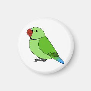 Fluffy wild green indian ring-necked parrot magnet