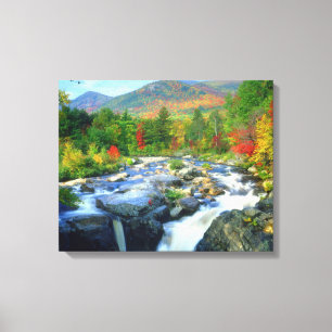 Flume Falls    Adirondack Mountains Canvas Print