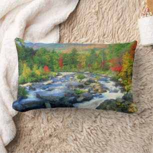 Flume Falls Adirondack Mountains Lumbar Pillow