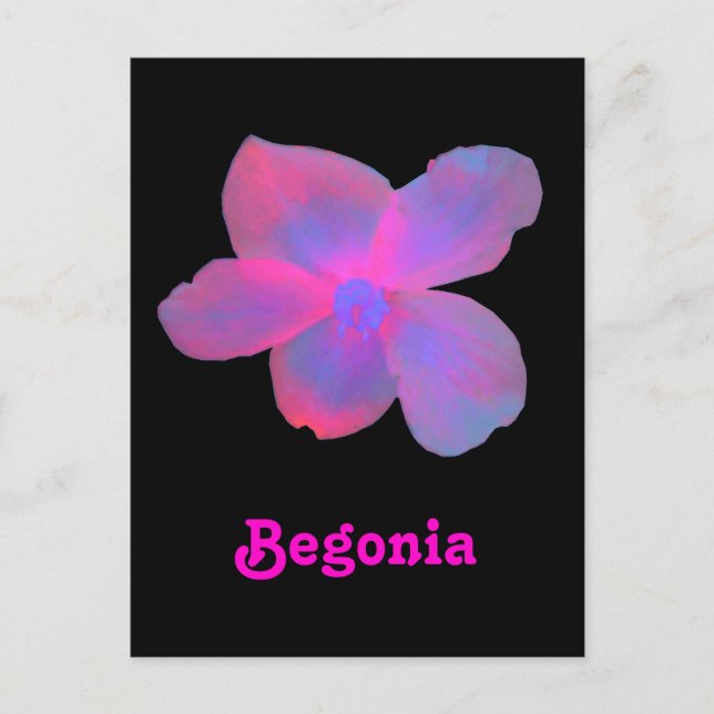 Fluorescent Begonia Customizable Postcard (Front)
