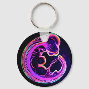 Fluorescent embryo glowing in the dark keychain